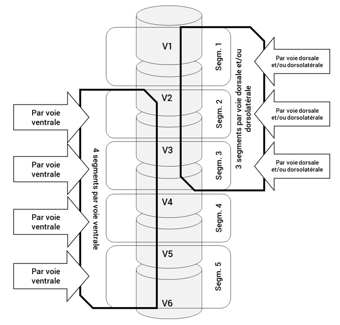 no description available